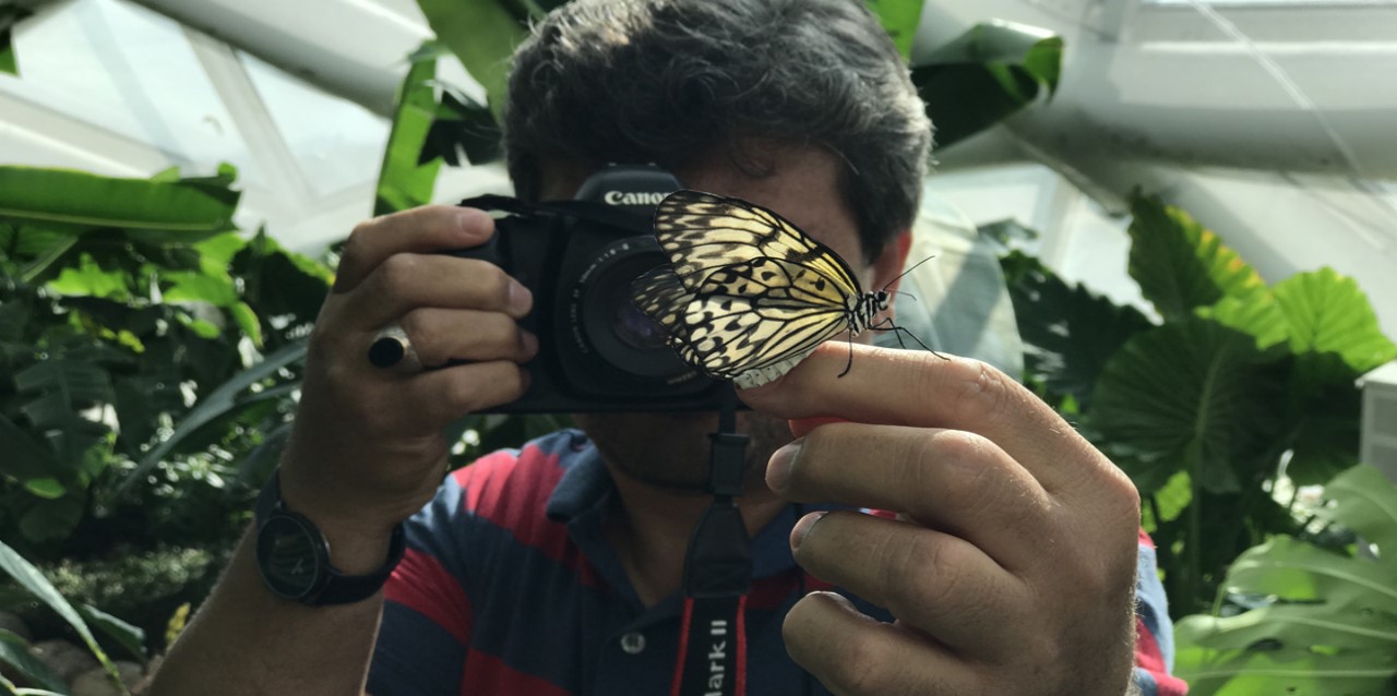 Bozkırın ortasındaki tropikal bahçe doğal fotoğraf stüdyosu gibi