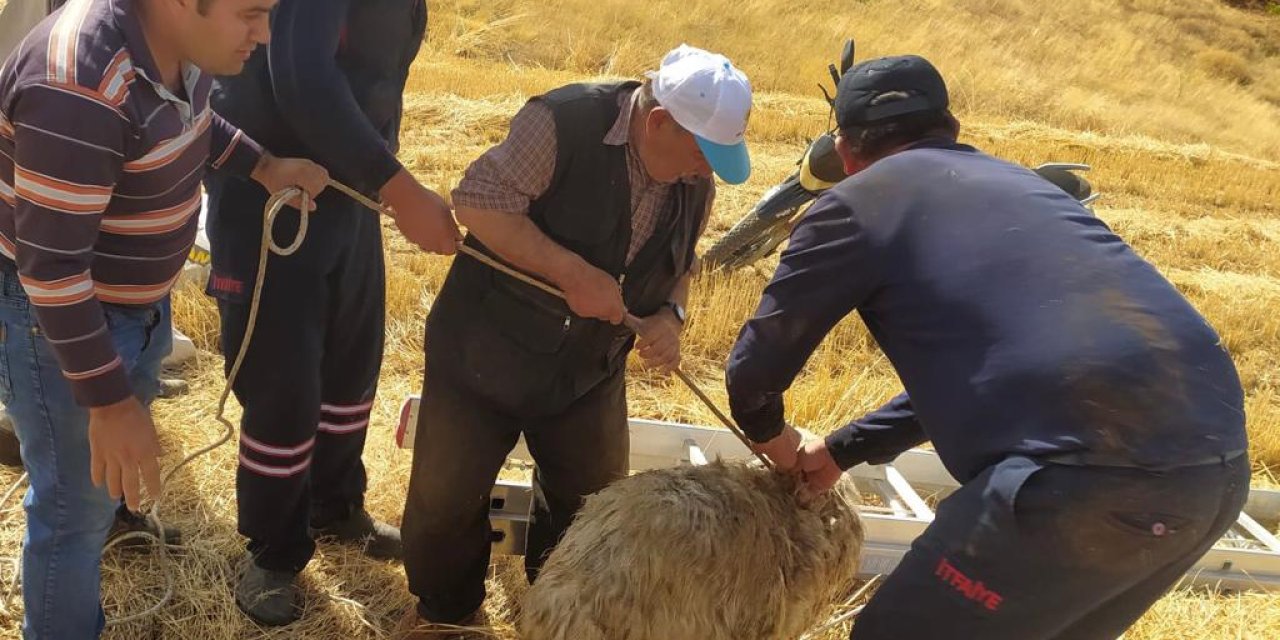 Kuyuya düşen koyun itfaiye ekipleri tarafından kurtarıldı