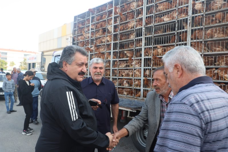 Belediyeden 800 aileye kümes hayvanı hediyesi