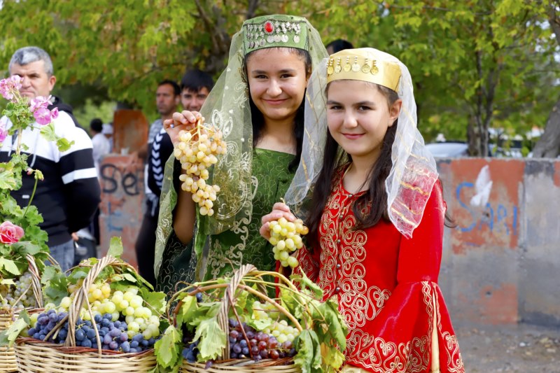 "2. Bağ Bozumu ve Pekmez Festivali"