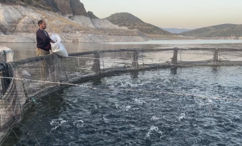 Çiftçilerin geçim kaynağı balıkçılık oldu