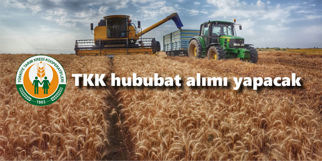 TKK hububat alımı yapacak