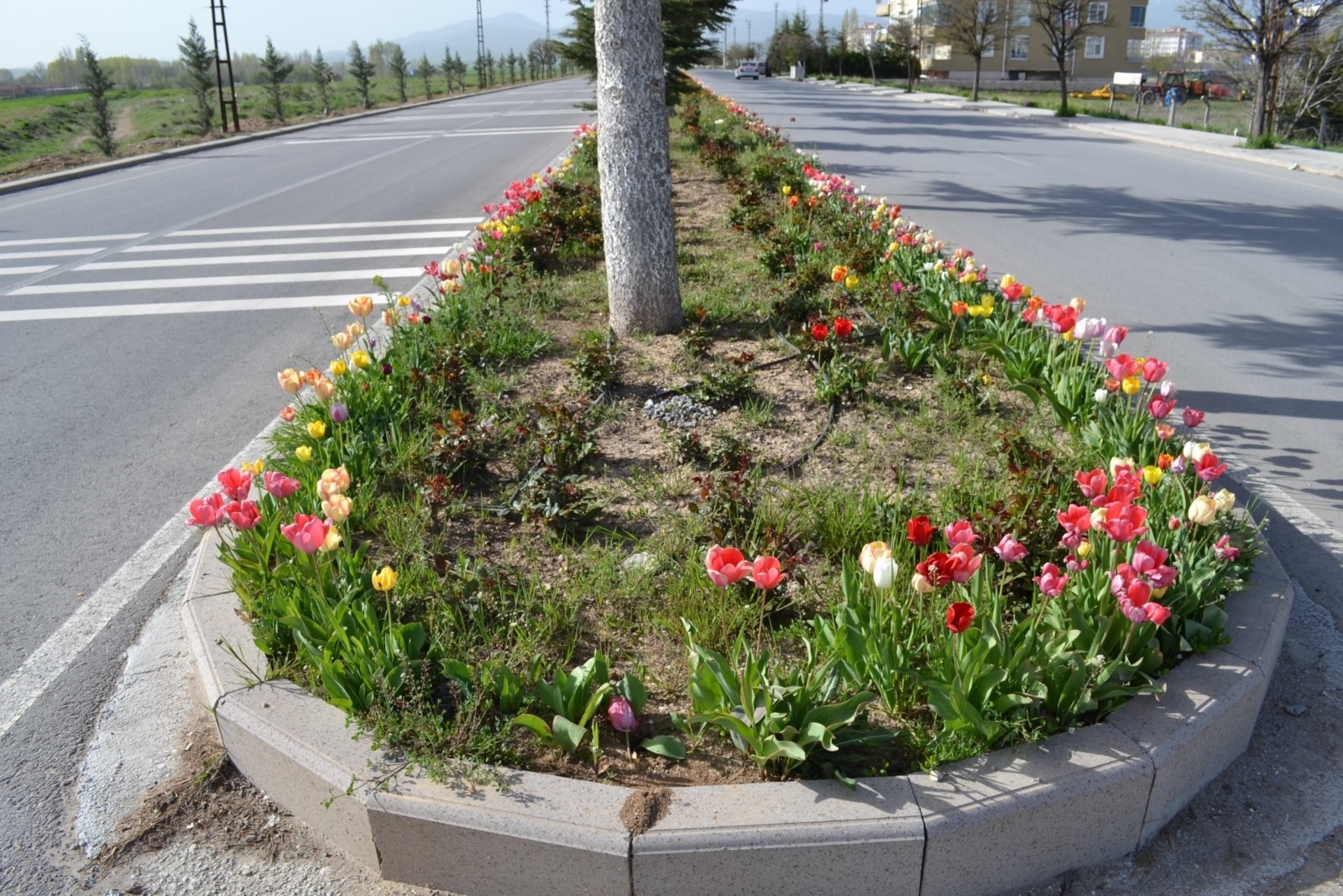 Sarayönü park ve bahçelerle güzelleşiyor