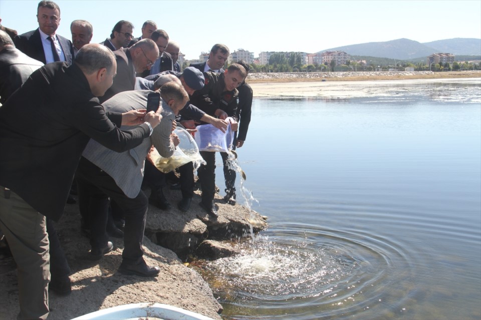 Beyşehir Gölü'ne 2 milyon balık bırakıldı