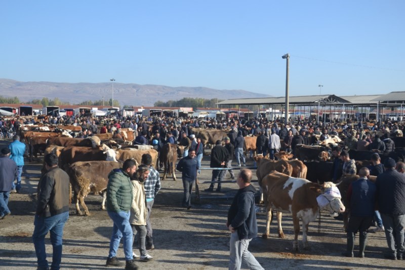 Hastalık nedeniyle kapanan pazar yeniden açıldı