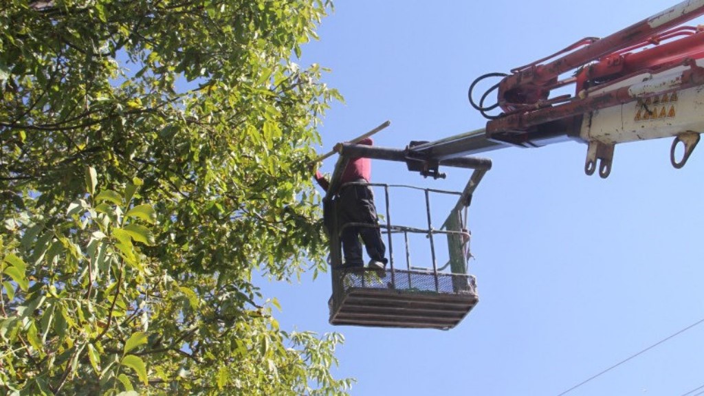 Ceviz hasatçıları vinçle hayatını güvene alıyor