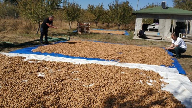 Zirai hastalıklara ve zararlılara karşı işbirliği yapıyorlar