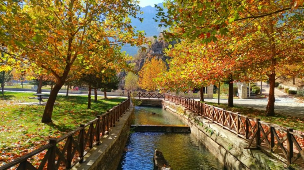 Kuğulu Parkı şimdi çok başka