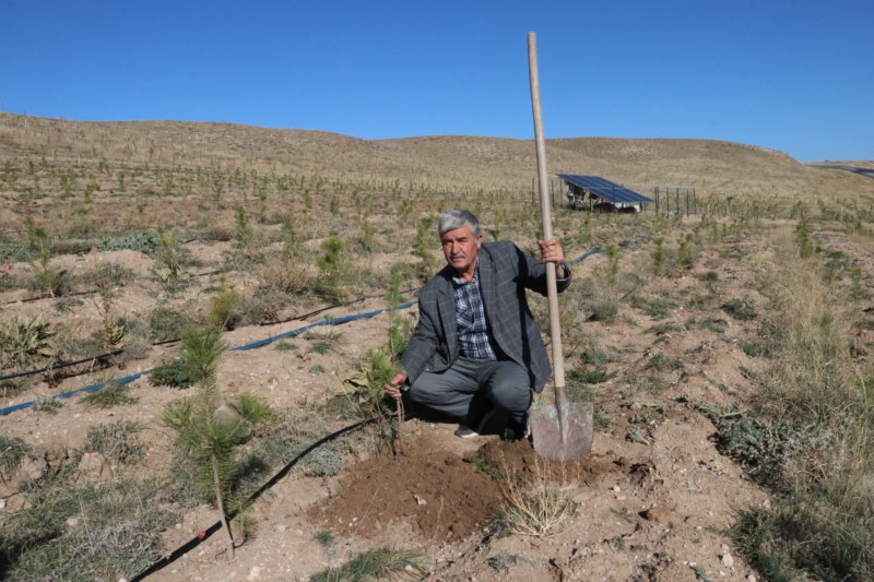 "Oksijen Adam"  23 yılda 25 hatıra ormanı kurdu