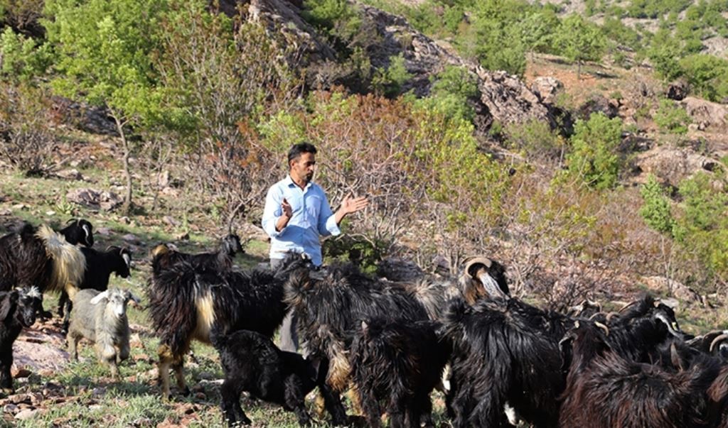 Torosların eteğinde eşi için yazdığı şarkıya kendi imkanlarıyla video klip çekti