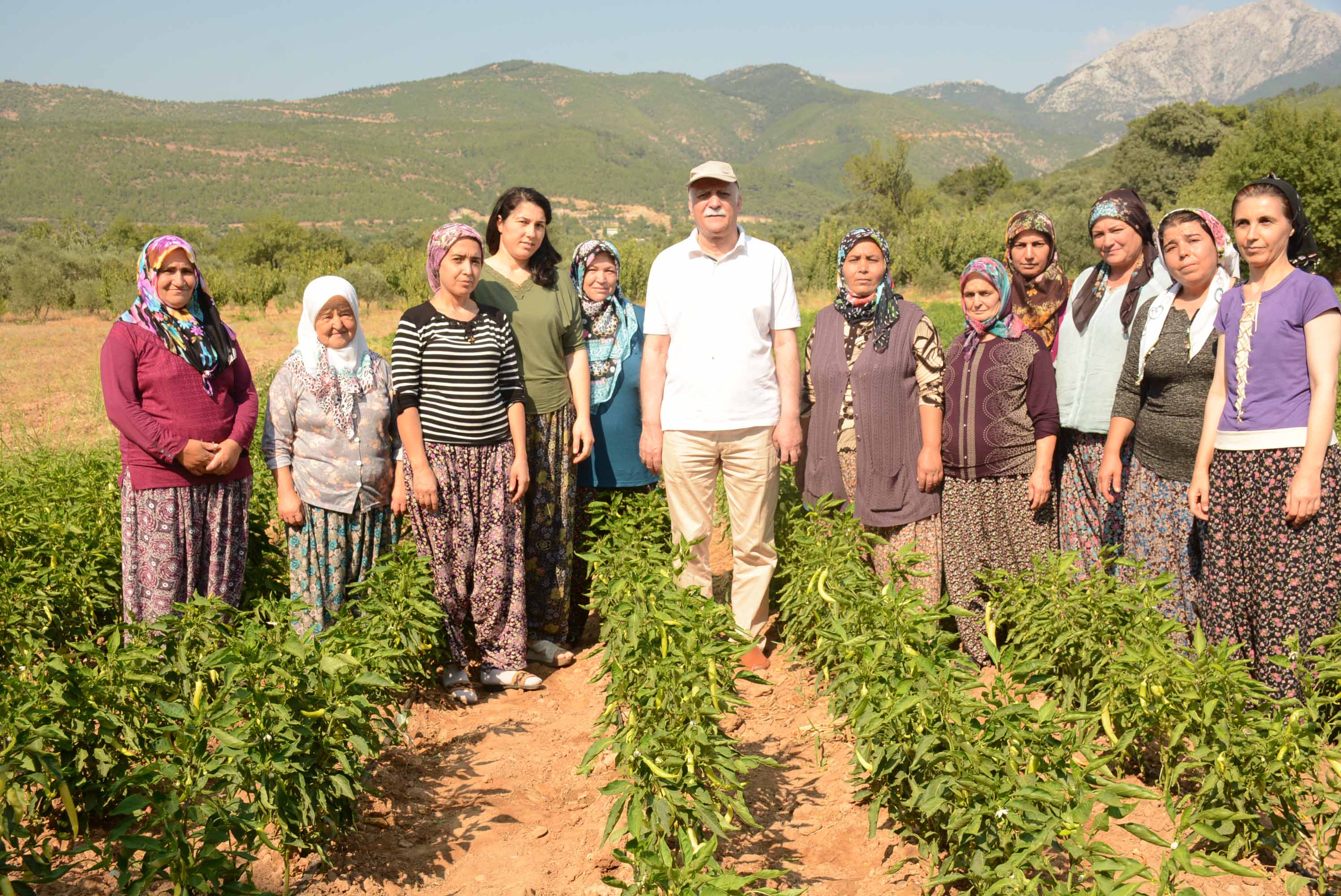 Kırsal kalkınma destekleri tebliğinde değişiklik