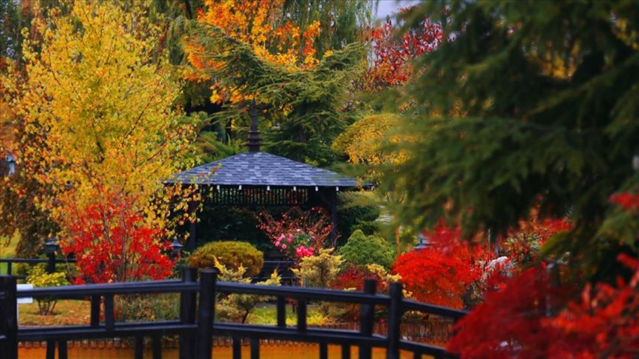 Japonya’yı Konya’ya getiren parkta sonbahar güzelliği