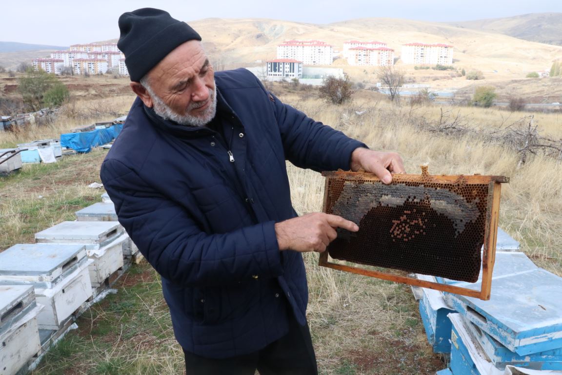 Arıcılar "varroa" hastalığına karşı uyarıldı