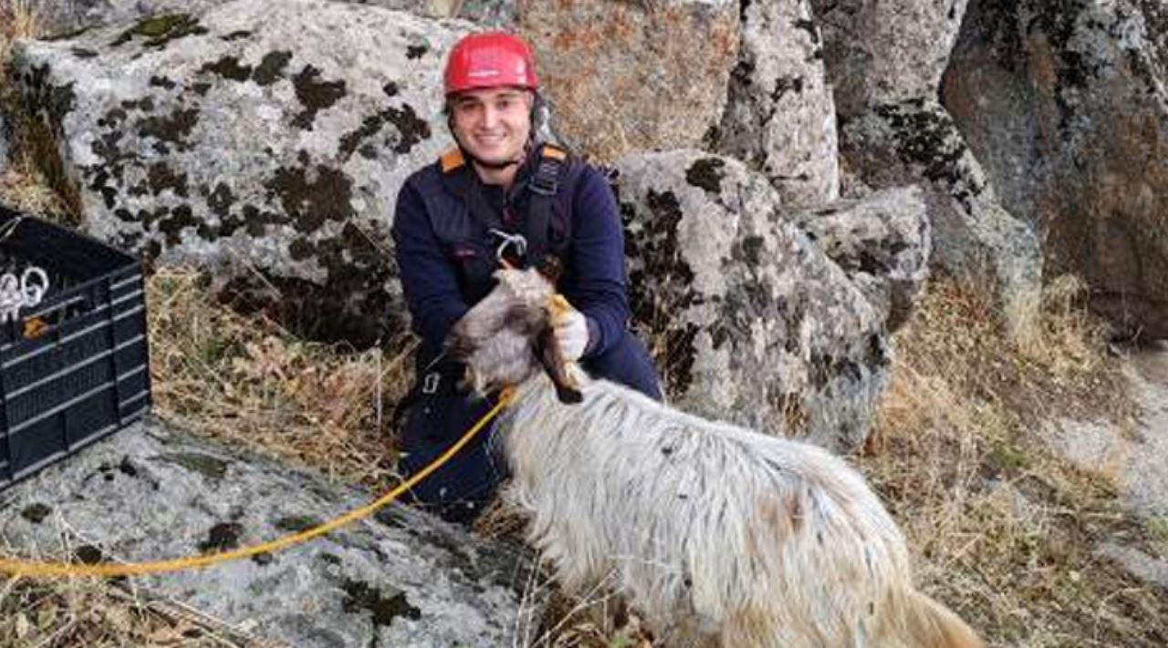 İtfaiye ekipleri mahsur kalan keçiyi kurtardı
