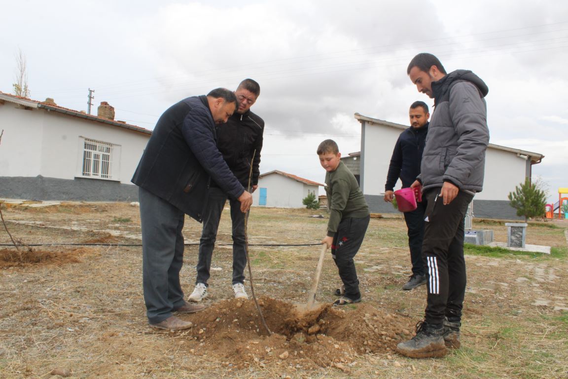 Yunak'ta okul bahçesi meyve bahçesine dönüştürüldü