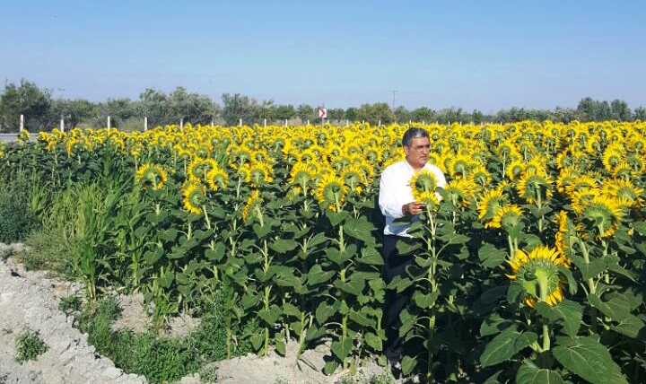 KONYA ŞEKER İNİSİYATİF ALDI, FİYATLARI AÇIKLADI