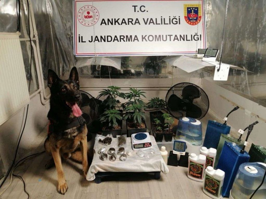 Jandarma tarafından gerçekleştirilen operasyonlarda ele geçirilenler şaşırttı