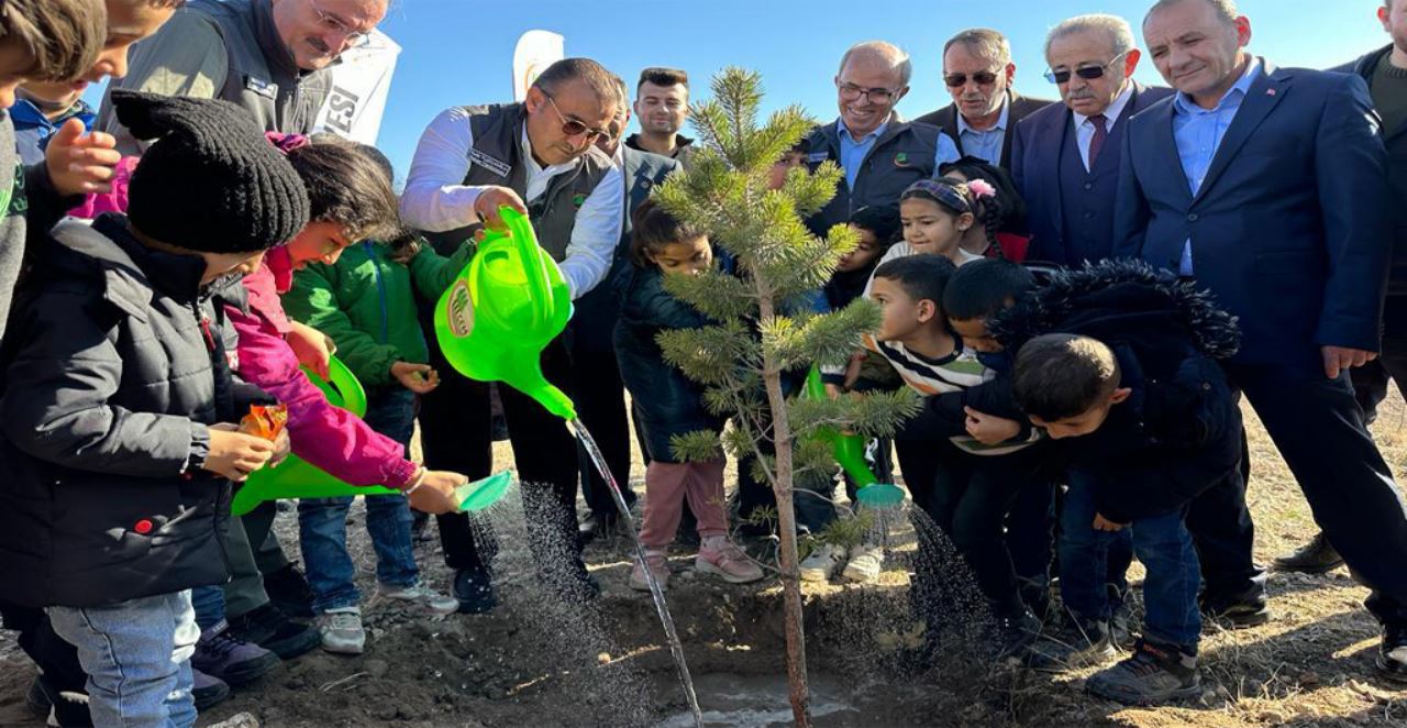 Çölleşme ve erozyona karşı 32 bin fidan