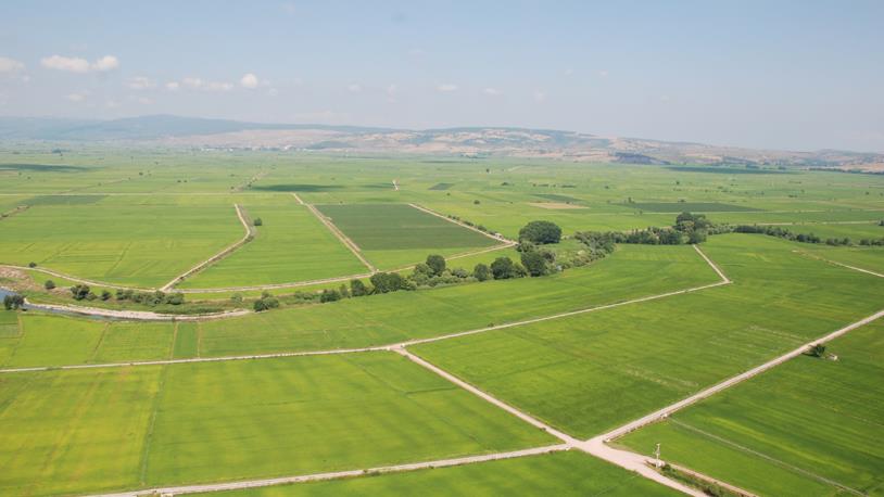 Hazine arazisinde çiftçilik dönemi başladı