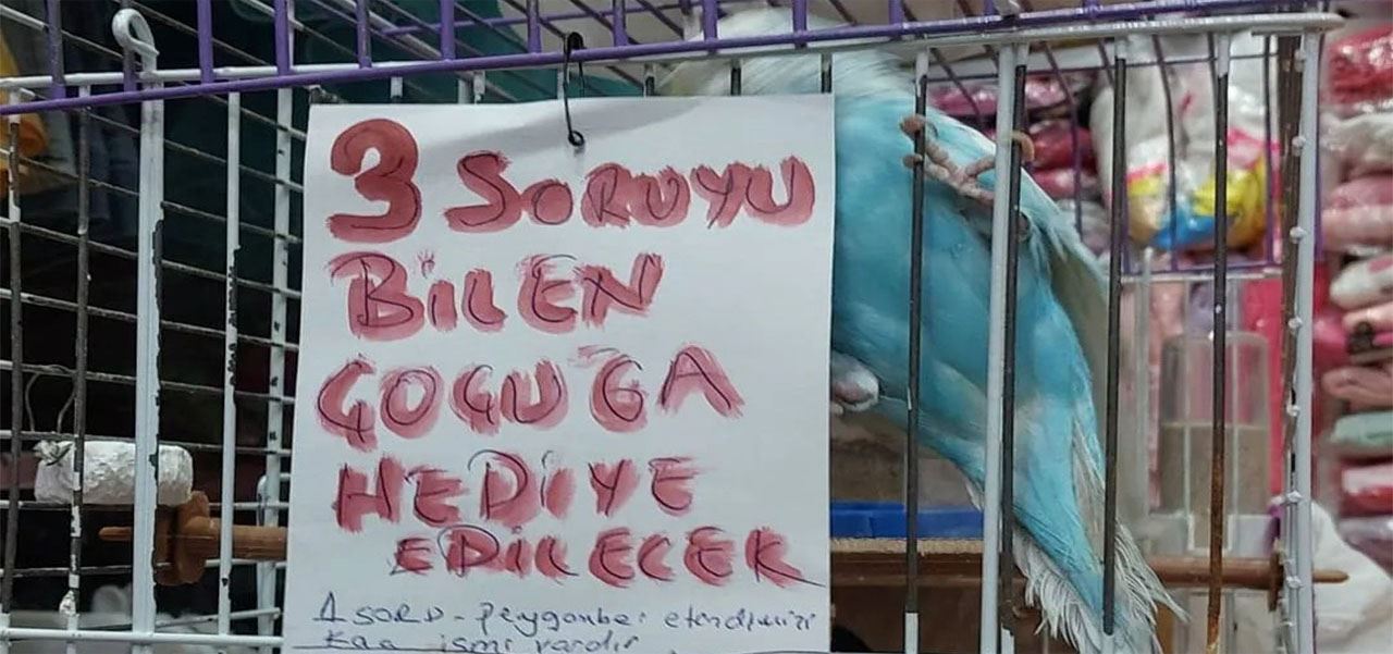 Esnafın 3 sorusunu bilen çocuk muhabbet kuşunu kapıyor