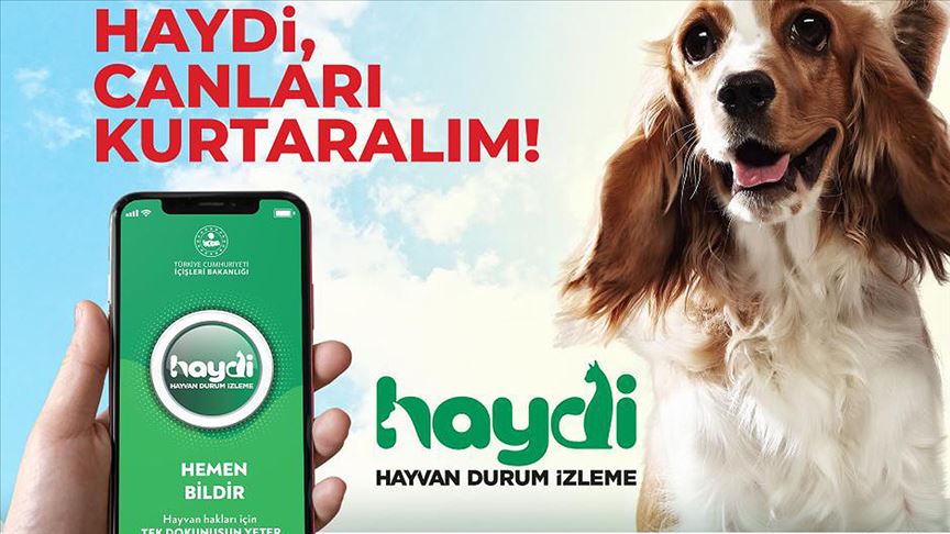 Hayvanların korunması için 'HAYDİ' uygulaması