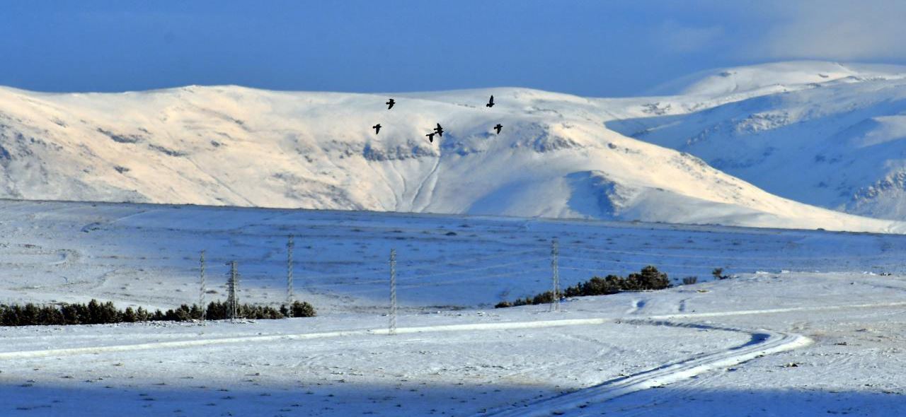 Erzurum'da karlar eriyor! 30 yılda 3'te 1 azaldı