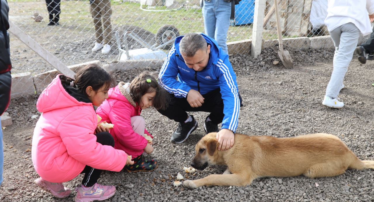 "İyilik Timleri" sahipsiz hayvanları unutmadı