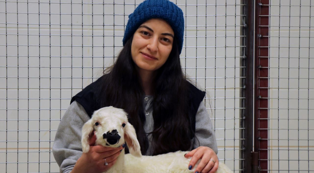 Annesinin reddettiği "Aykız"a veterineri sahip çıktı