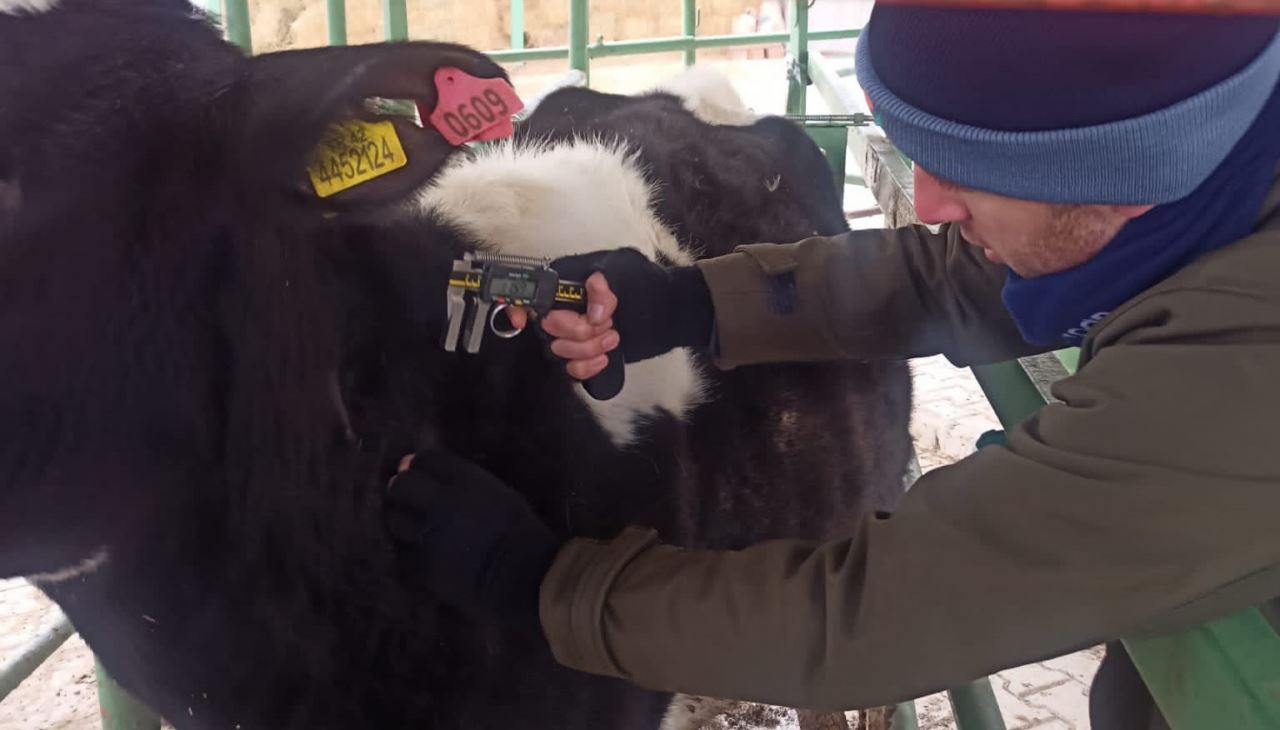 Aşılama çalışmaları devam ediyor