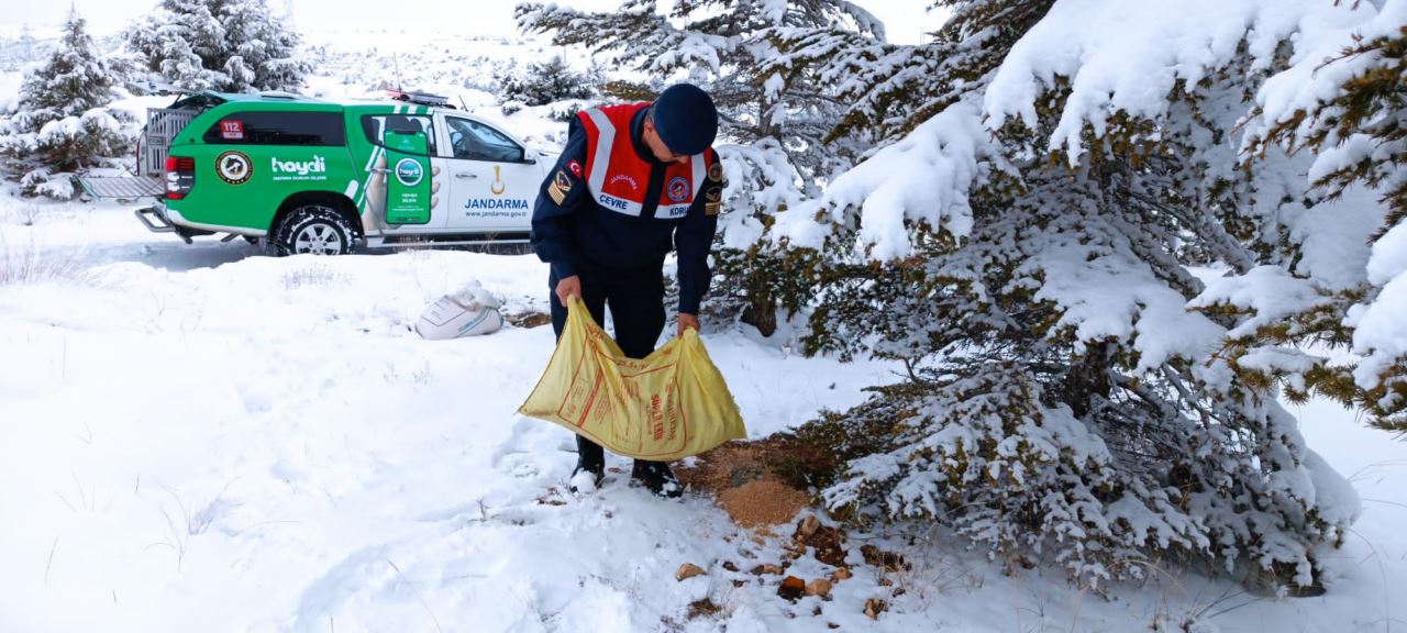 Jandarma ekipleri yaban hayvanlarını unutmadı