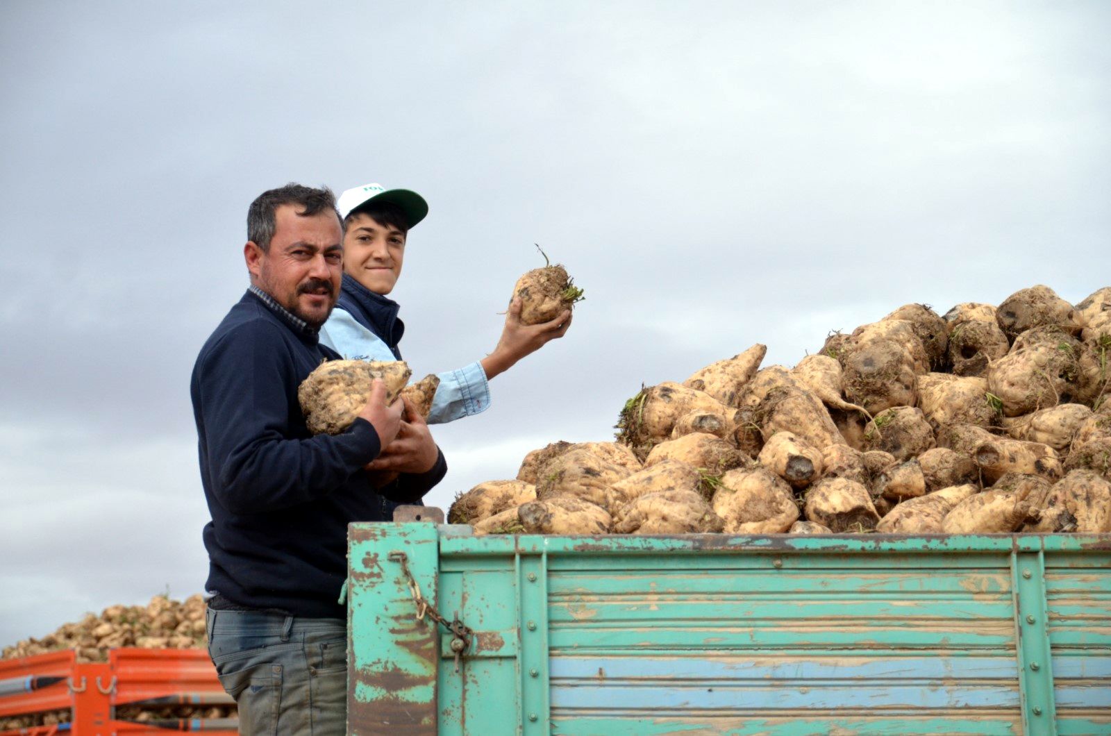 Pancar üreticisi için hasat zamanı