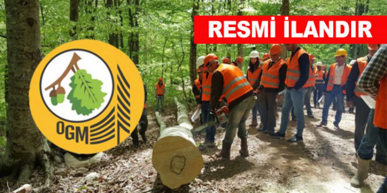 YEŞİLDAĞ ORMAN İŞLETME ŞEFLİĞİ HİZMET İŞİ ALIM İLANI