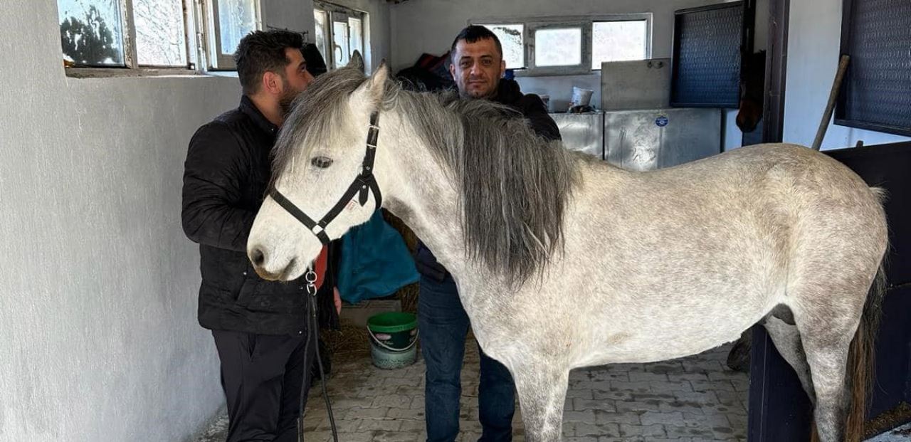 Rahvan atlar sağlık taramasından geçirildi