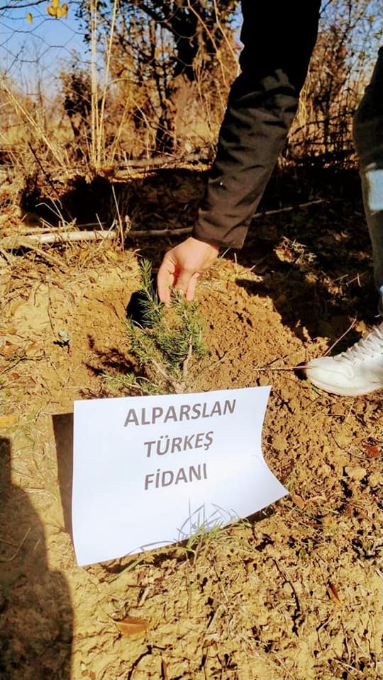 Sarayönü Ülkü Ocakları Alparslan Türkeş anısına fidan dikti