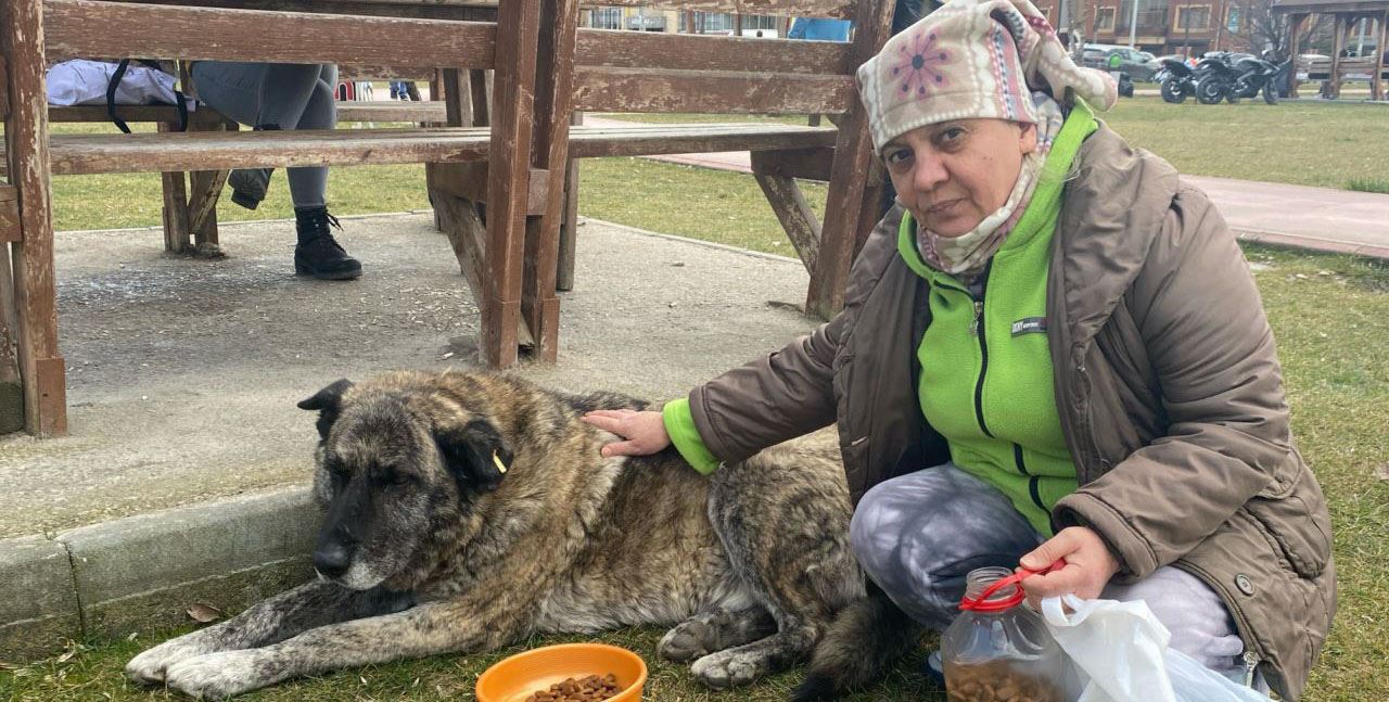 22 yıldır sokak hayvanlarına bakıyor