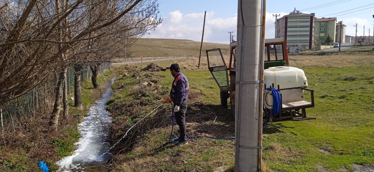 Larvayla mücadele başladı