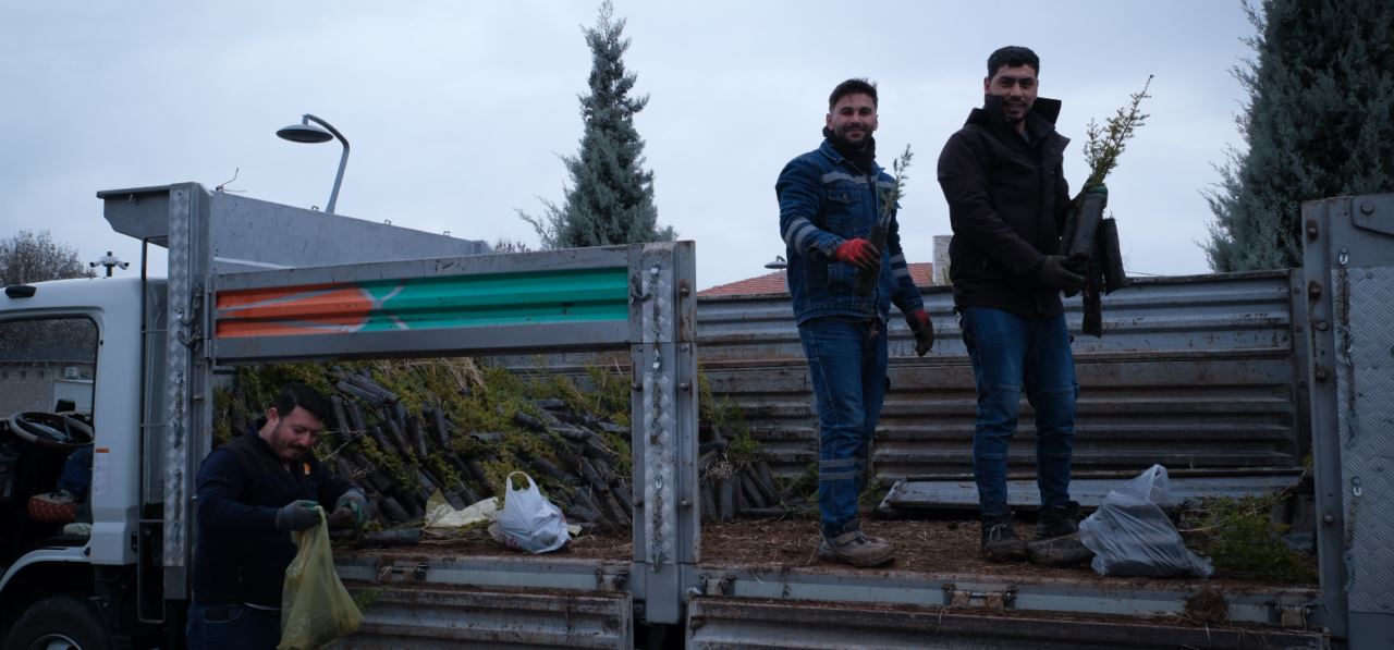 Karapınar'da, Orman Haftası nedeniyle 5 bin adet çam fidanı dağıtıldı