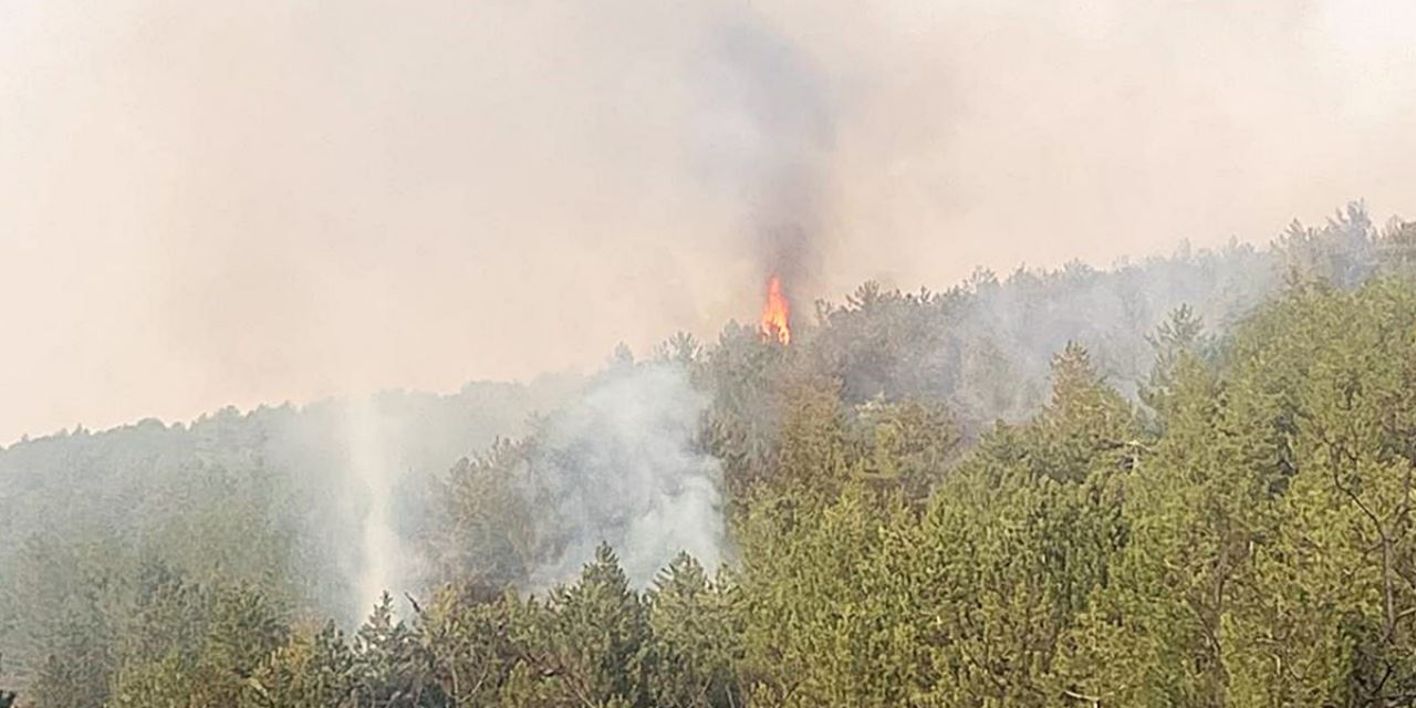 Meydana gelen orman yangını 1 hektarlık alanda zarara neden oldu