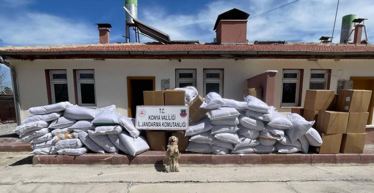 Şüphe üzerine durdurulan tırlardan bandrolsüz tütünler çıktı