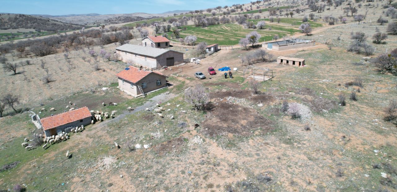 Konya'da kayıp koyunlar dronla bulundu