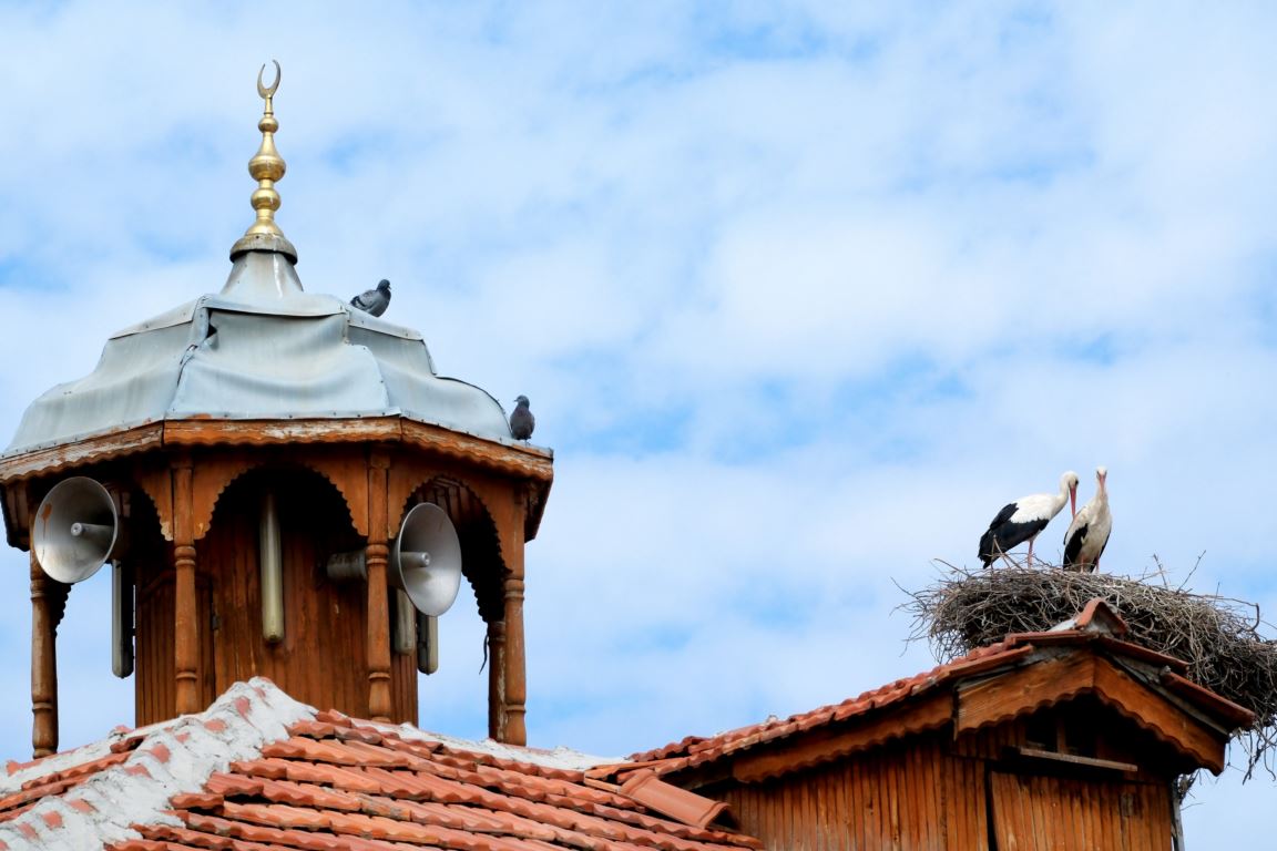 Leylekler geleneği bozmadı; Her yıl aynı yerde yuva kuruyorlar