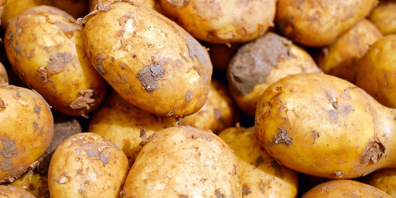 Patates kabuklarını çöpe atmamalısınız. Patates kabuklarını değerlendirmenin 5 yolu