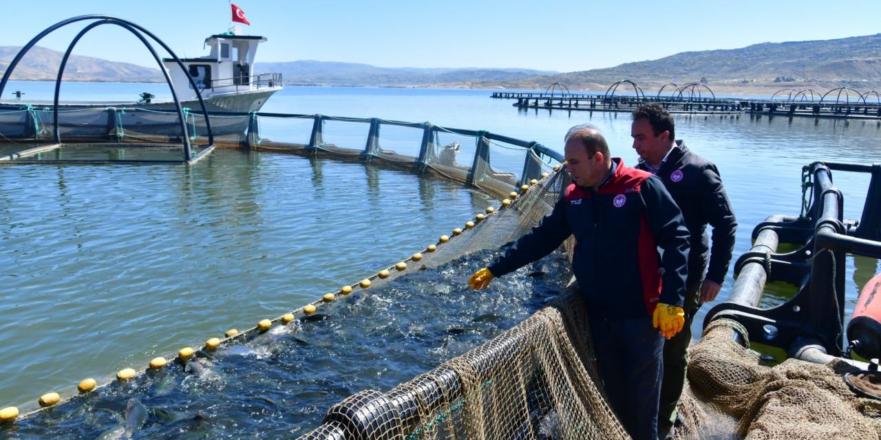 Denizi olmayan Kayseri'de balık hasadı başladı