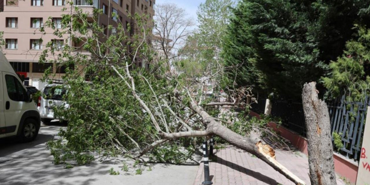 Konya’da şiddetli fırtına ağaçları devirdi