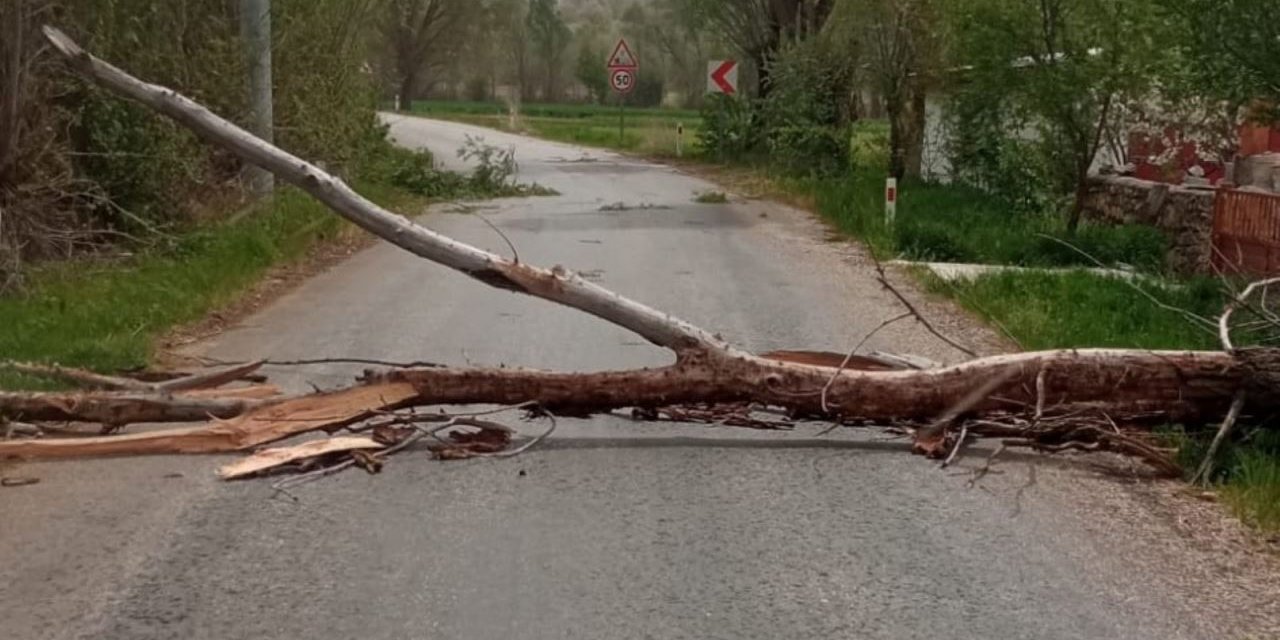 Fırtınadan etkilenen Beyşehir’de devrilen ağaç yolu kapattı