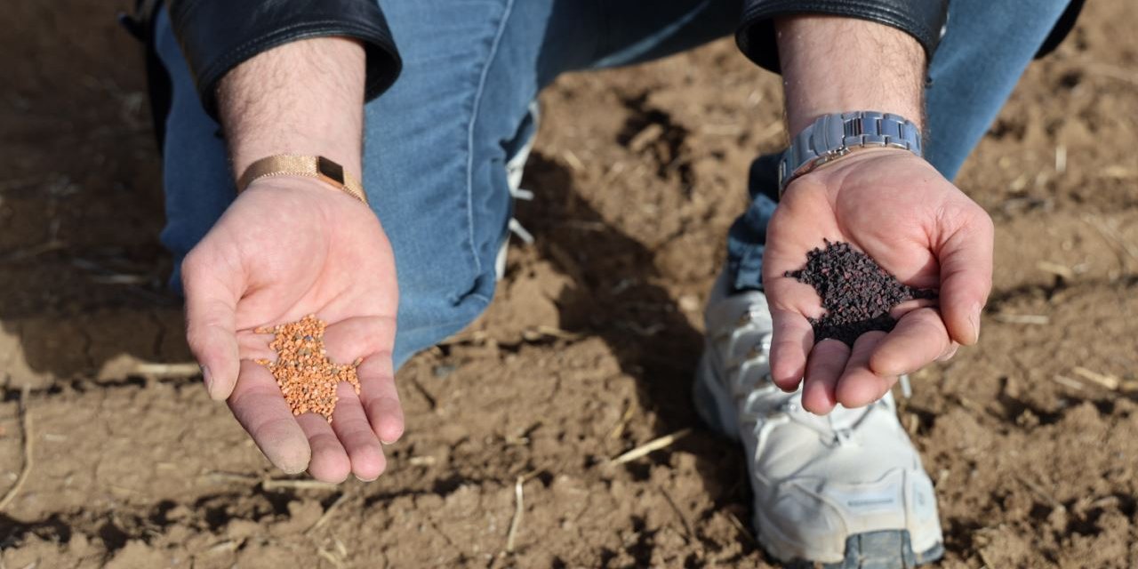 Dubai’ye gidecek olan soğan tohumları toprakla buluşturuldu