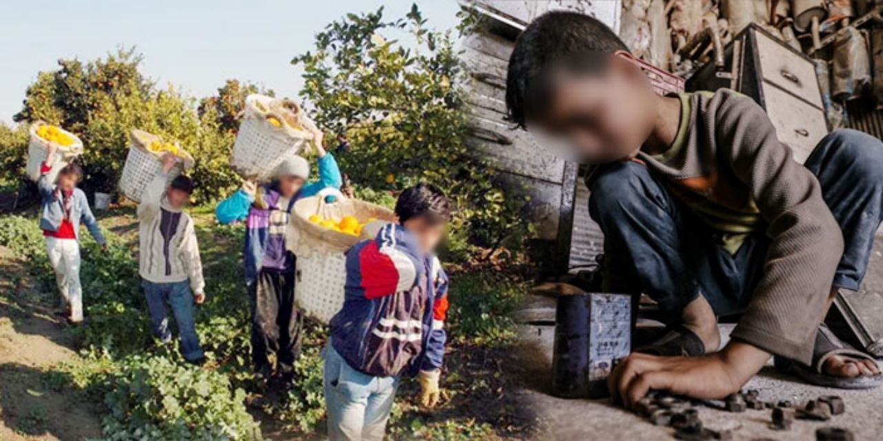 23 Nisan'da acı tablo: 11 yılda en az 689 çocuk işçi öldü