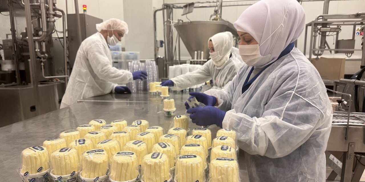 Konya Şeker'in ürünleri 15 ülkeye ihraç ediliyor