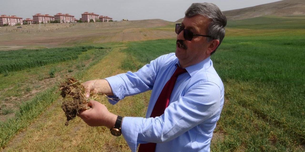 İç Anadolu’daki kuraklık hububat üreticilerini endişelendirmeye başladı
