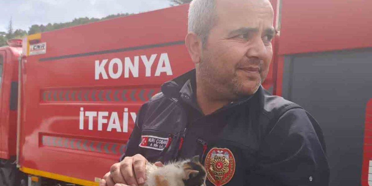 Konya’da aracın motoruna sıkışan kedi itfaiye ekiplerince kurtarıldı